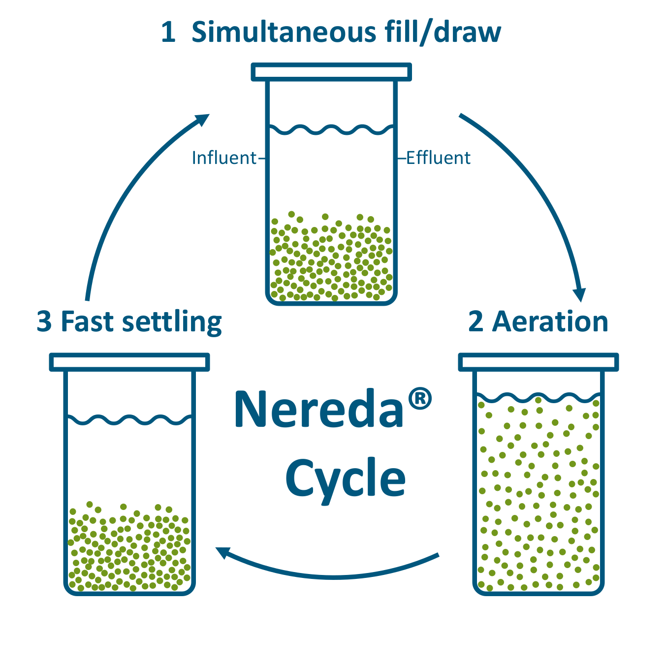 Figure 3: Nereda process cycle